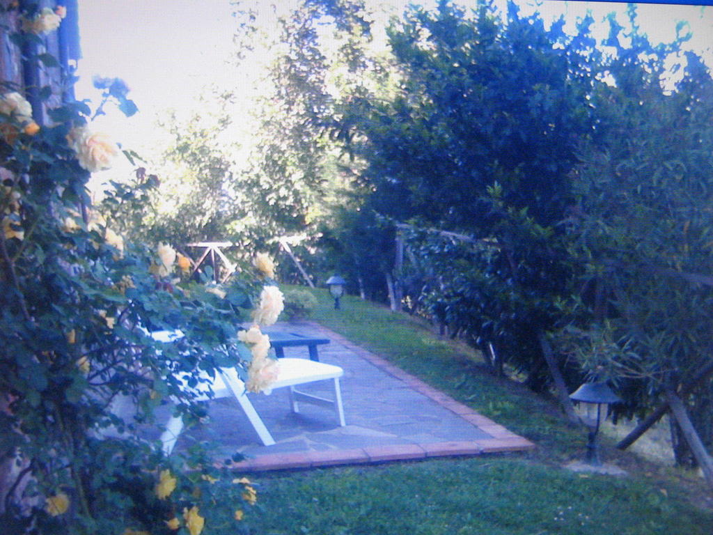 Certine Agriturismo Asciano Luaran gambar