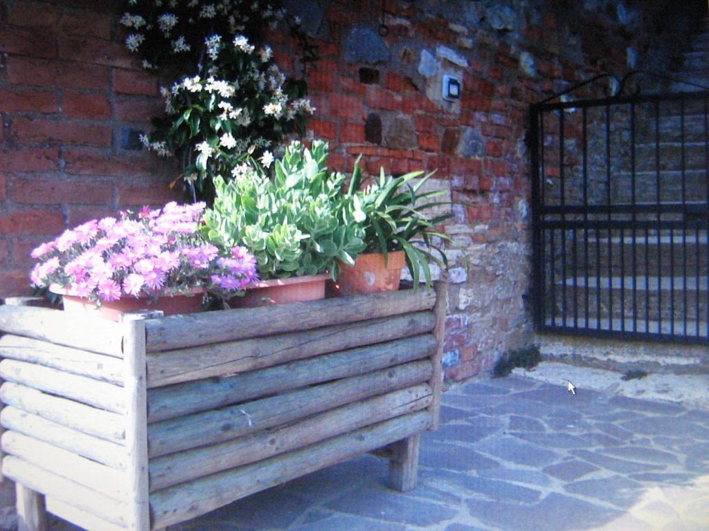 Certine Agriturismo Asciano Luaran gambar