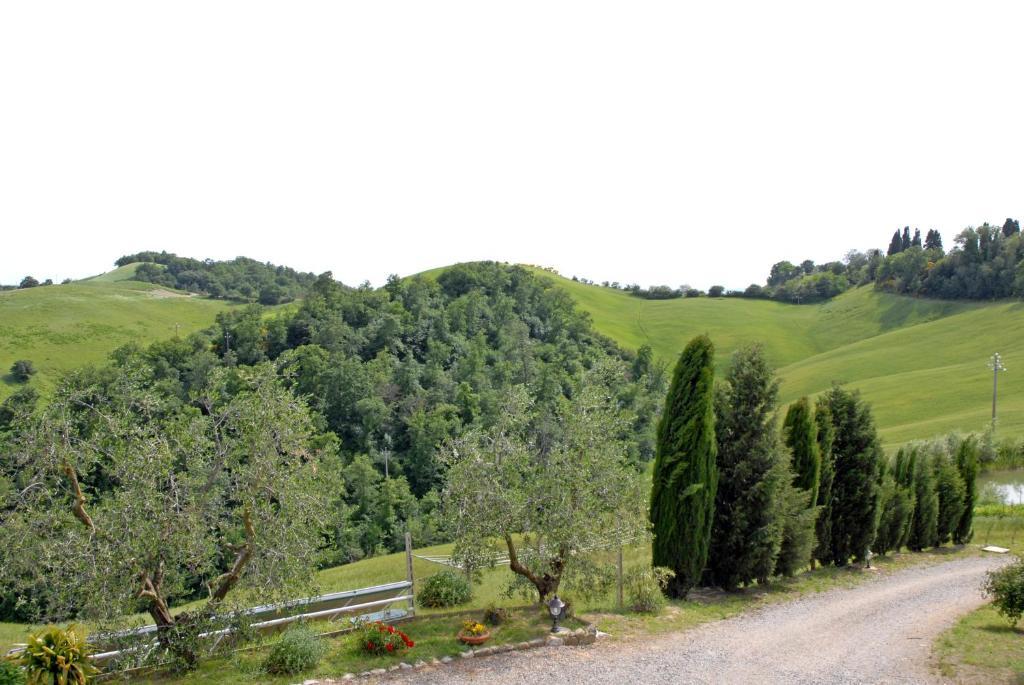 Certine Agriturismo Asciano Luaran gambar